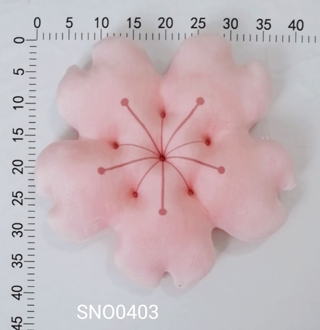 SNO0403